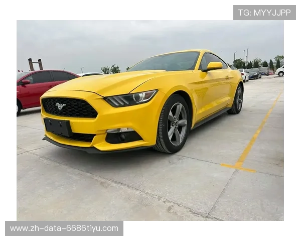 16款野马2.3T彻头彻尾的新产品